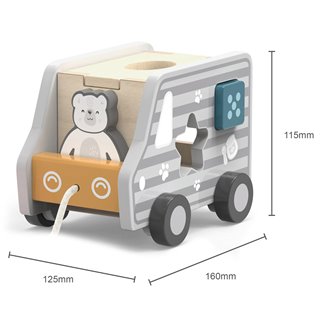 Pull-along shape sorting truck